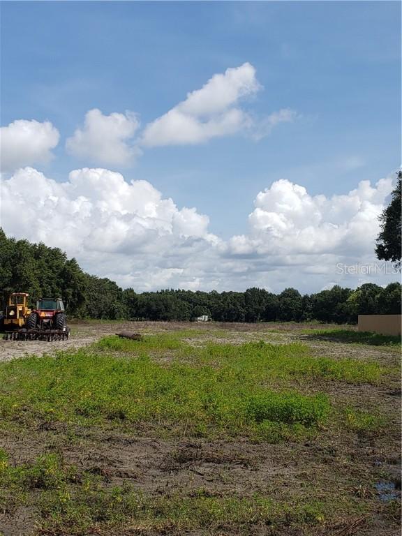 5229 Nesmith Rd., Plant City, FL 33567
