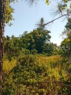 Cottage Hill St., Lake Wales, FL 33859