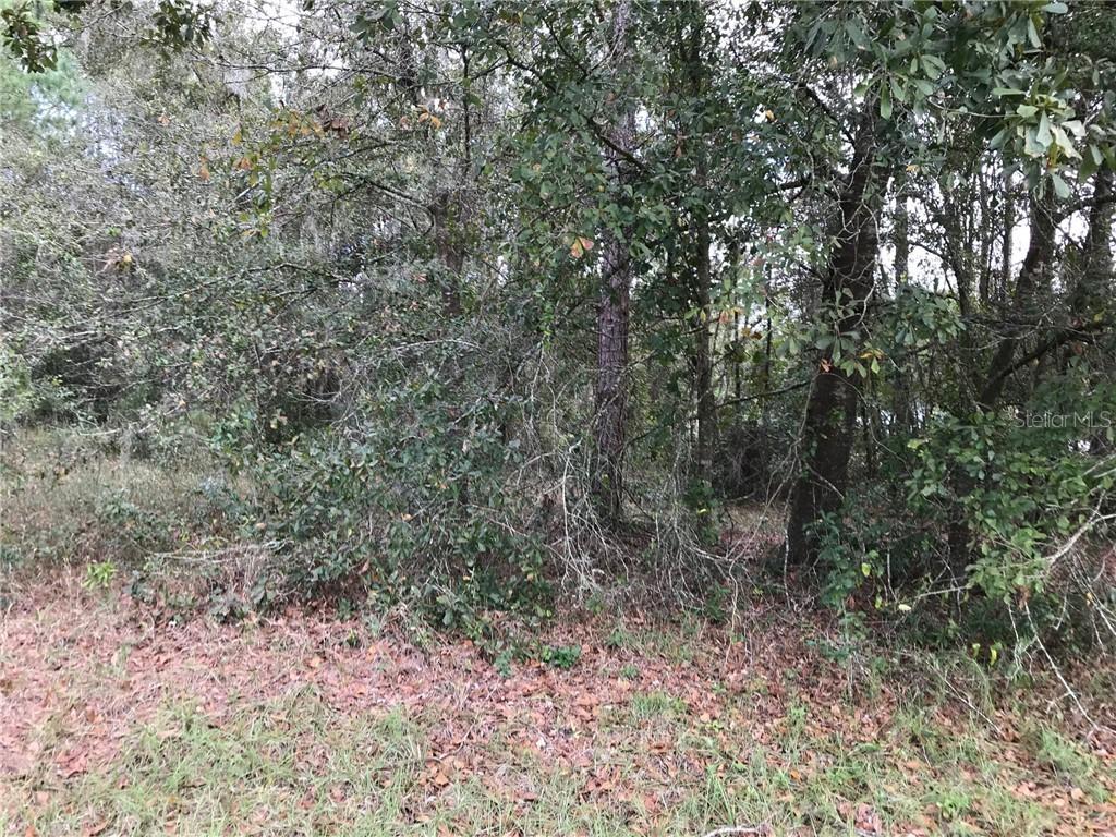 8519 Gibson Oaks Dr., Lakeland, FL 33809