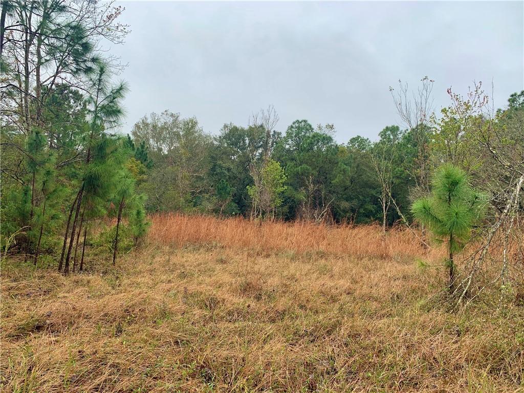 3110 Tenoroc Mine Rd., Lakeland, FL 33805