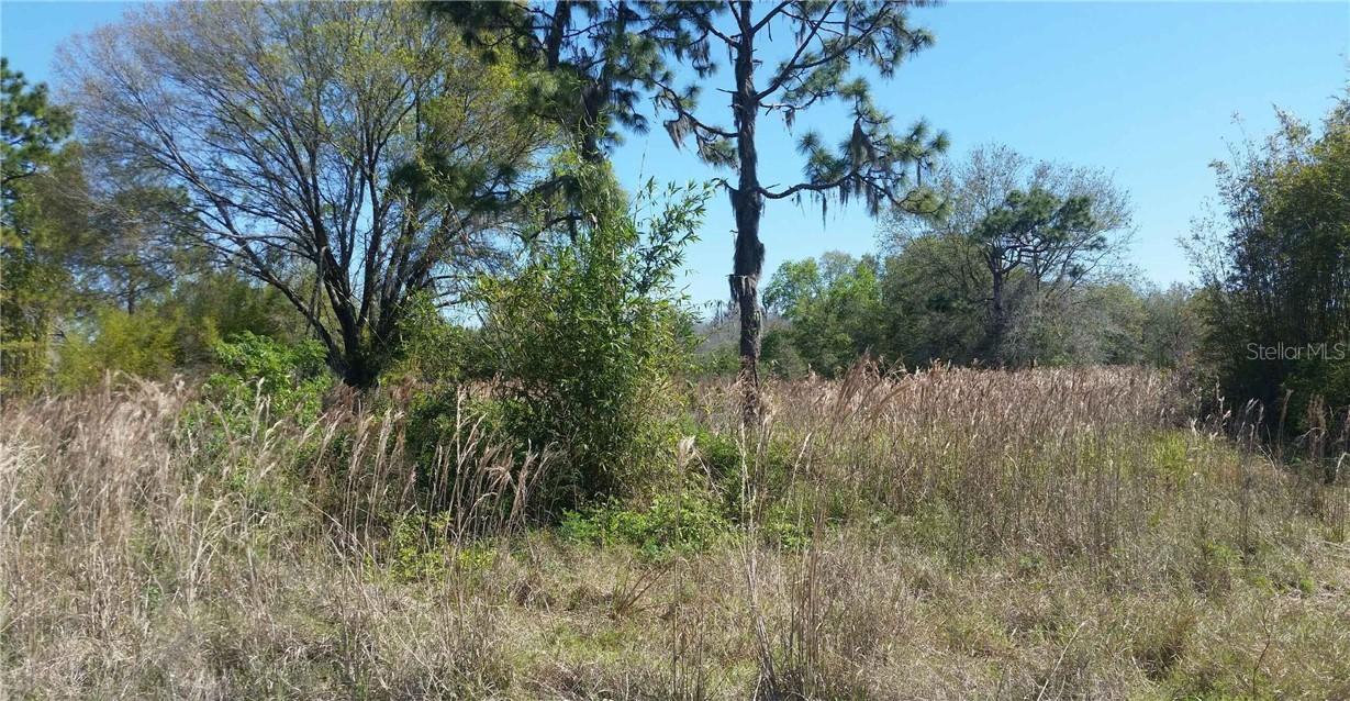 Sportsman Tr., Lakeland, FL 33809