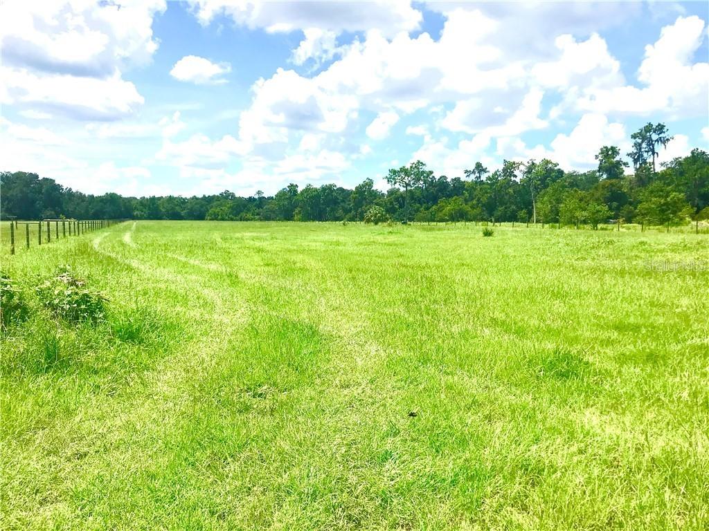 Medulla Rd., Lakeland, FL 33811