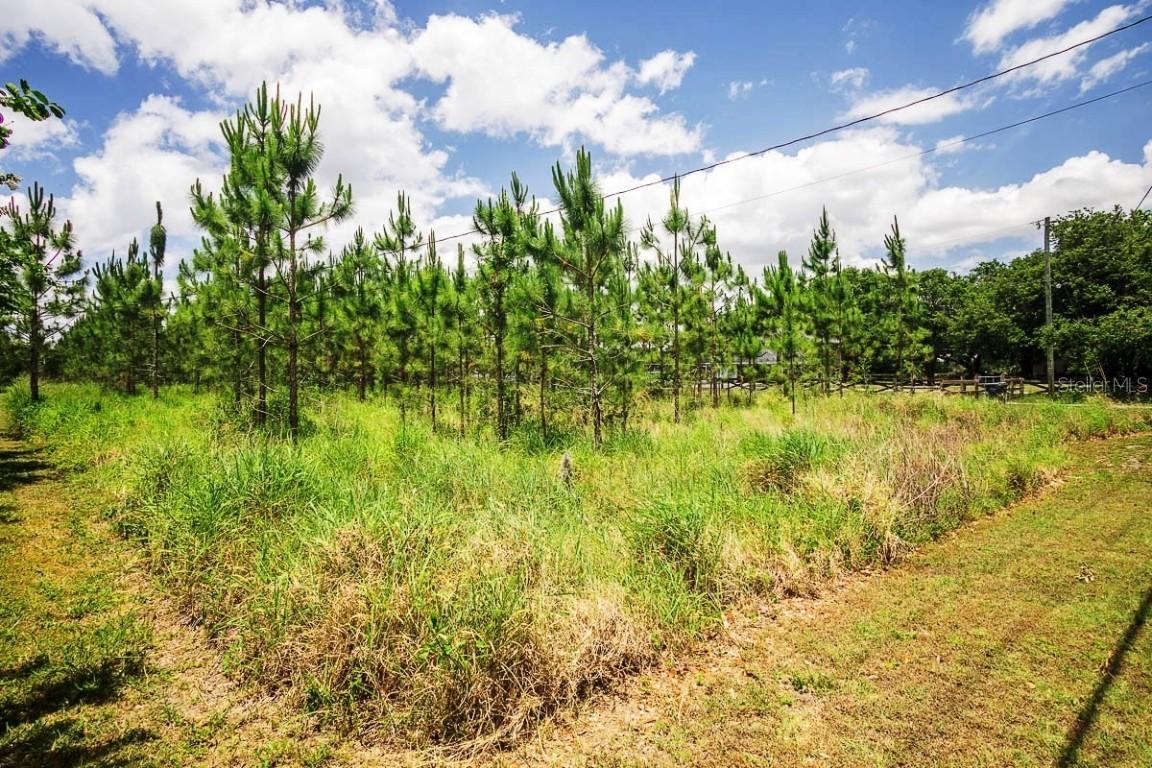 Hamilton Rd., Lakeland, FL 33811