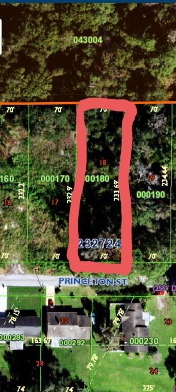 Princeton St., Lakeland, FL 33809