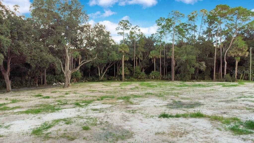 1356 Montzen Rd., Davenport, FL 33896