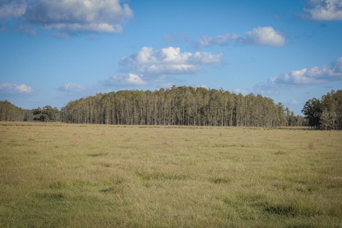 Rockridge Rd., Lakeland, FL 33809