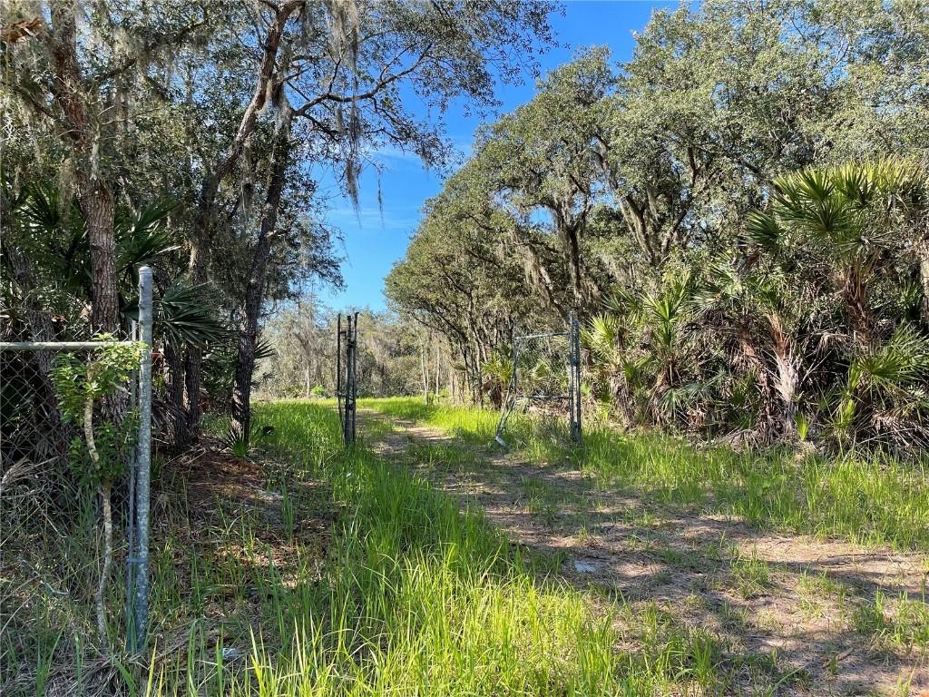 Sand Dollar St., Lake Wales, FL 33859