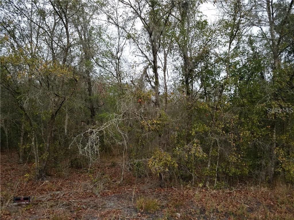 Perkle Rd., Lakeland, FL 33809
