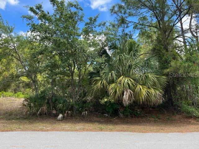 Lotus Lotus Rd., North Port, FL 34291