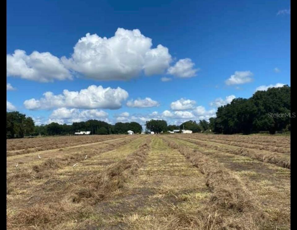 2245 Britt Rd., Lakeland, FL 33810