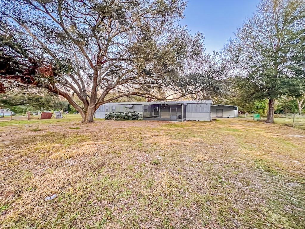 8224 Hamster Dr., Zephyrhills, FL 33540