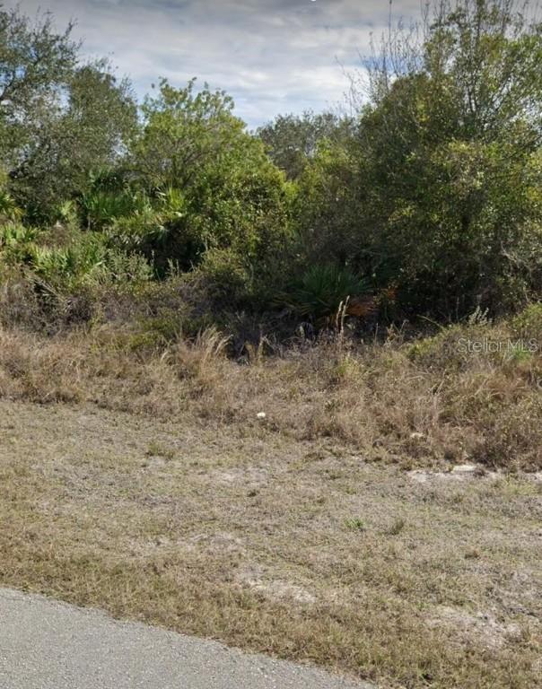 SW 142nd Ct., Ocala, FL 34481