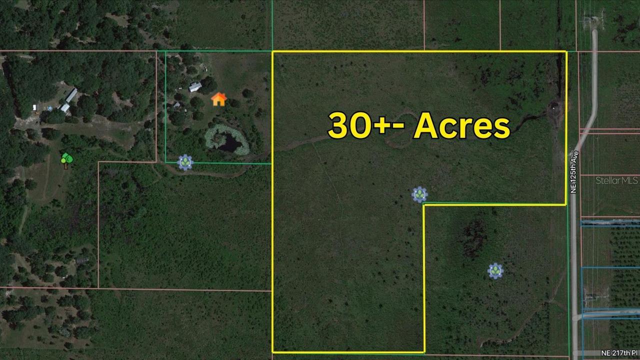 Ne 125th, Fort Mc Coy, FL 32134