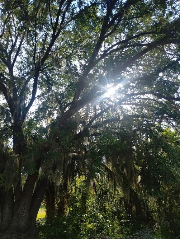 Cedarwood Dr., Lake Wales, FL 33898