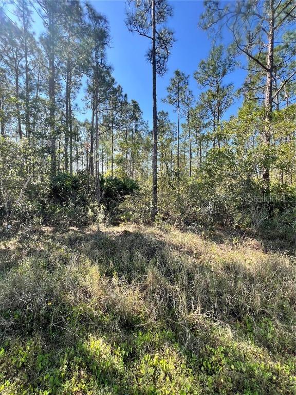 Althea Dr., Indian Lake Estates, FL 33855