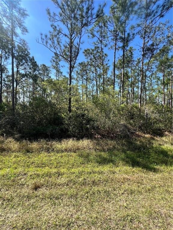 Althea Dr., Indian Lake Estates, FL 33855