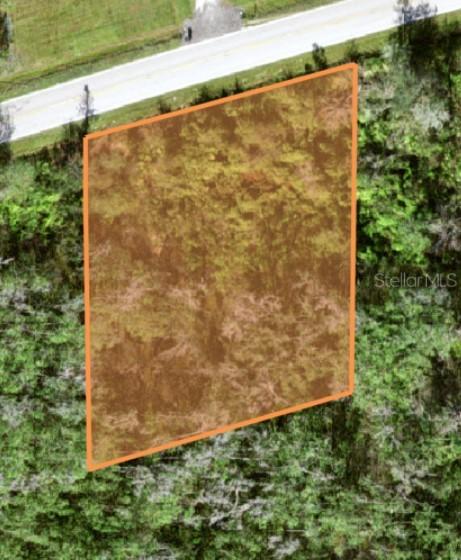 0 Sinkhole Rd Sinkhole Rd., Bartow, FL 33830