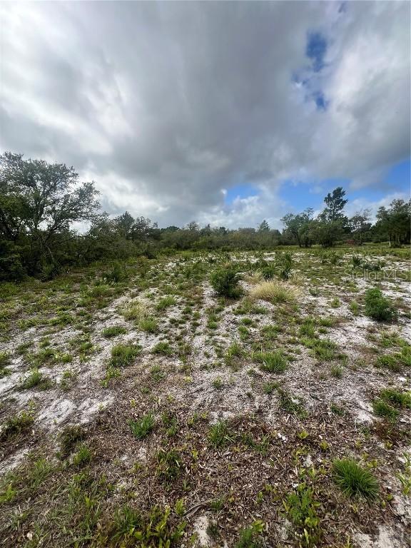 624 Alice St., Frostproof, FL 33843