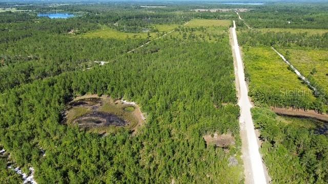 Sawgrass Fill Rd., Eustis, FL 32736