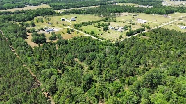 1875 Oak View Farms Rd., Osteen, FL 32764
