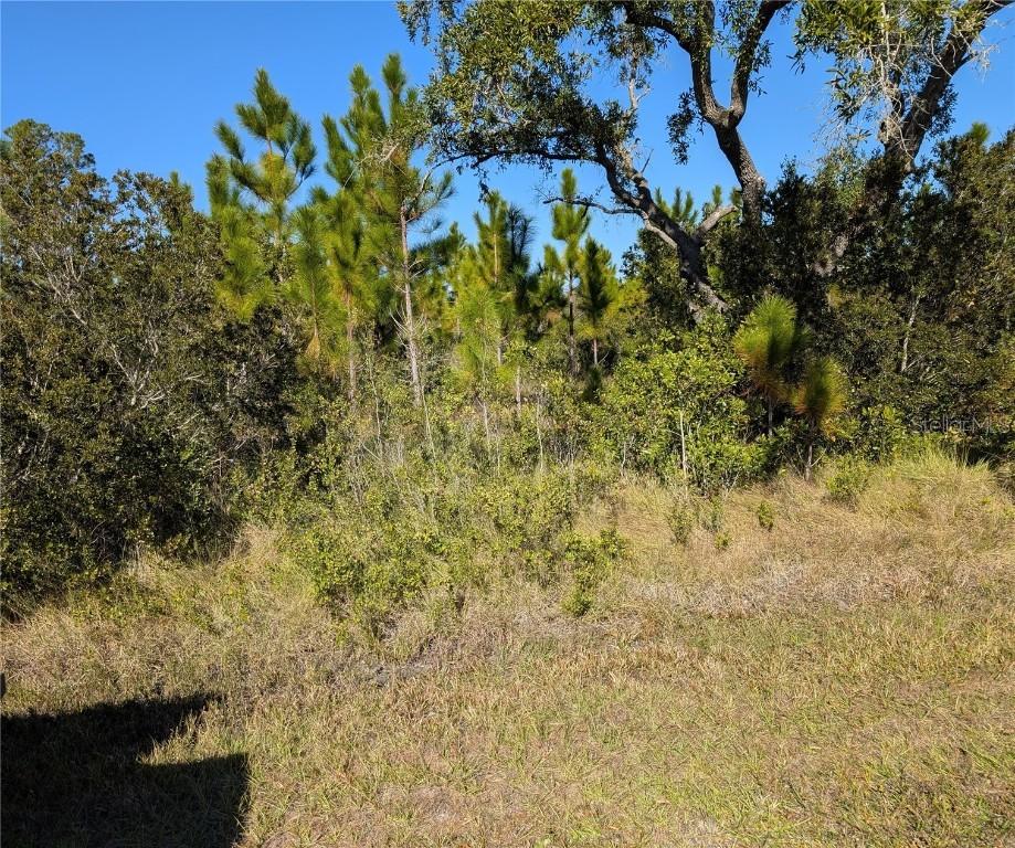 120 Tropicana Dr., Indian Lake Estates, FL 33855