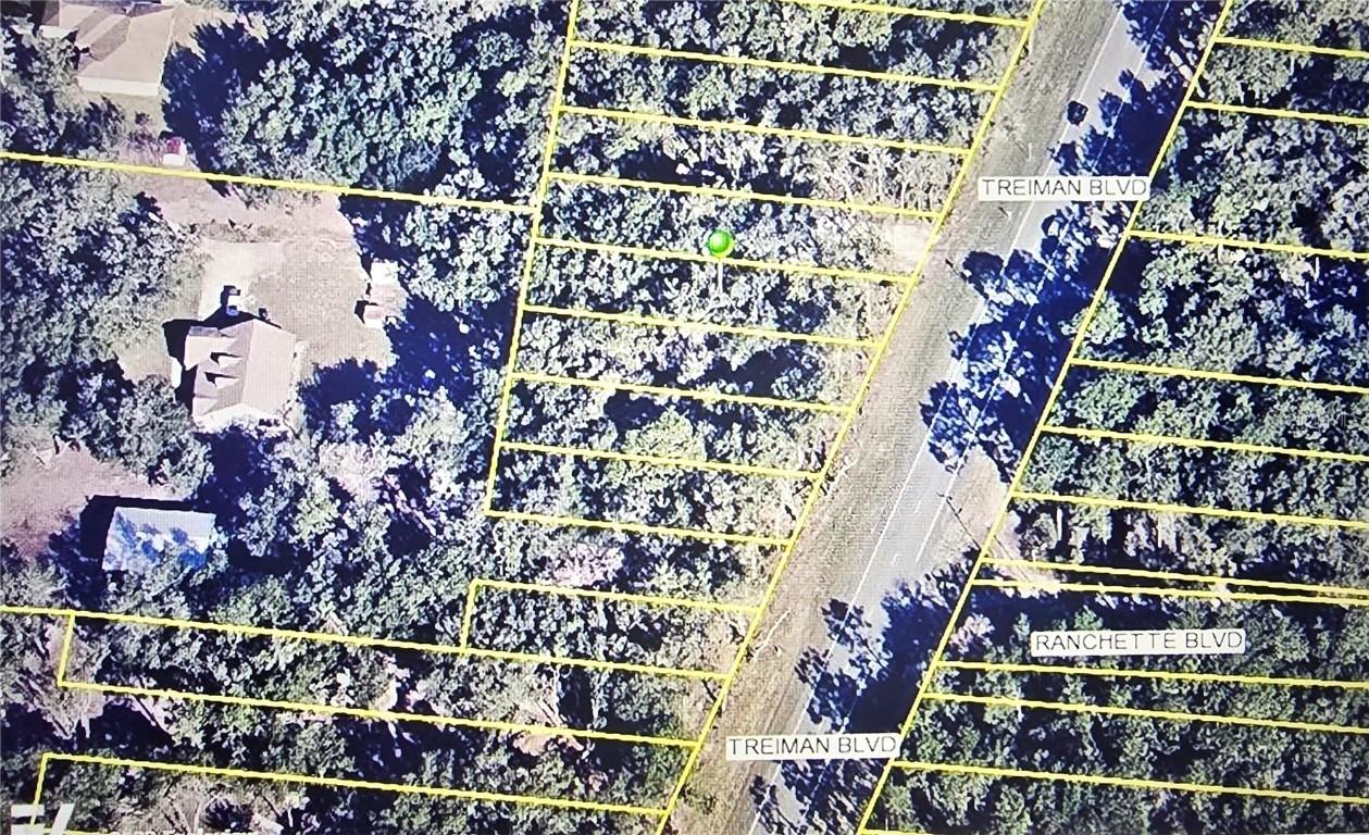 7251 Treiman Blvd., Webster, FL 33597