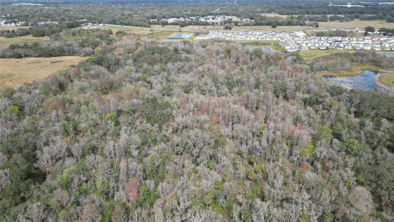 Lot 1 Land Rd., Zephyrhills, FL 33540