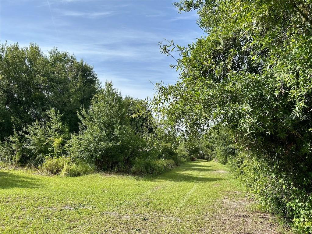 1134 Hopkins Ln., Zolfo Springs, FL 33890