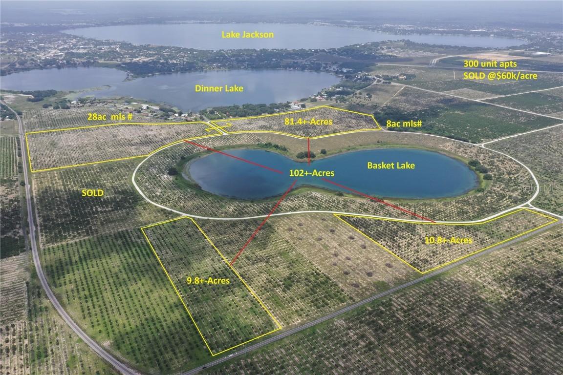 1115 Basket Lake Rd., Avon Park, FL 33825