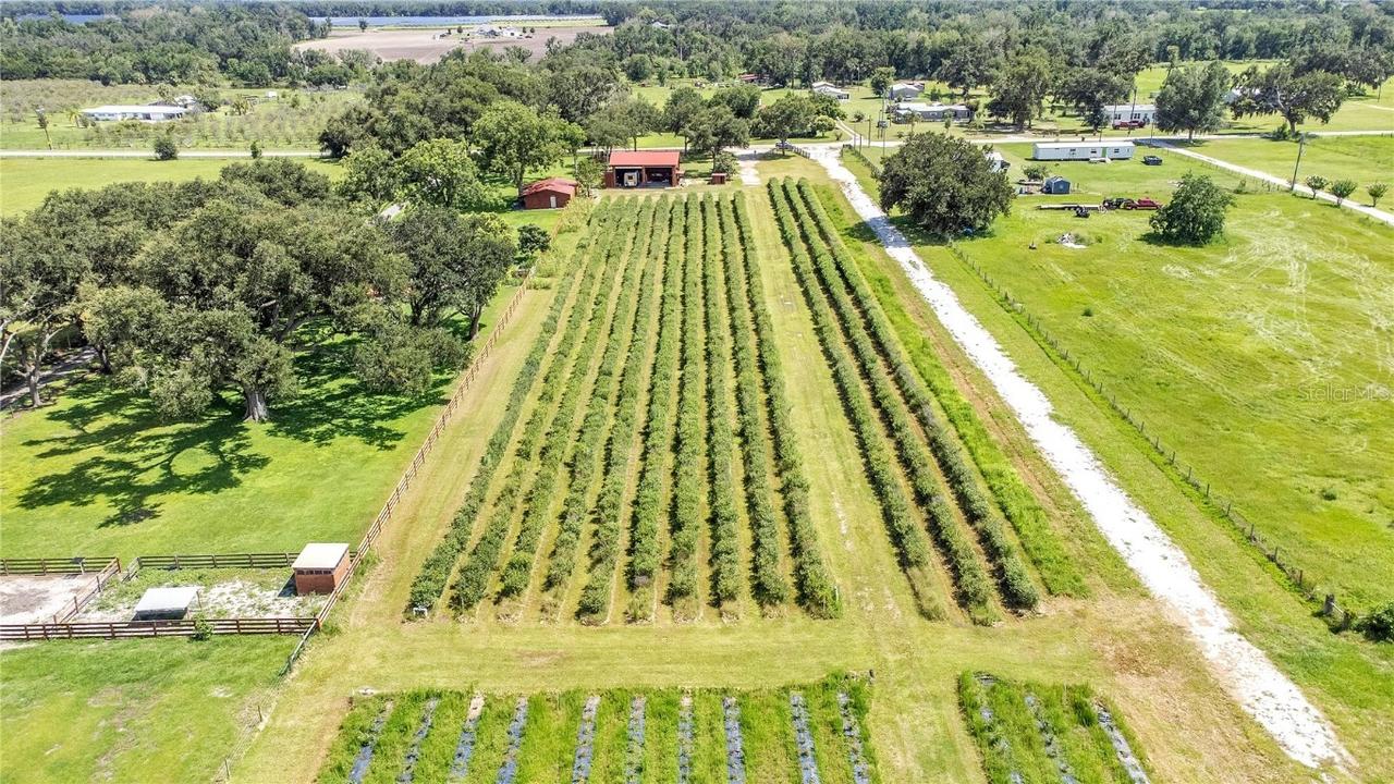 6205 Bethlehem Rd., Mulberry, FL 33860