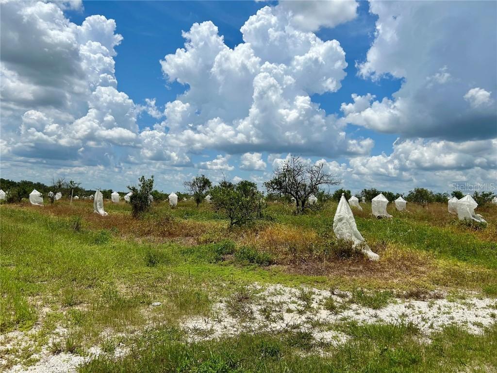 2600 E Oak Island Rd., Avon Park, FL 33825