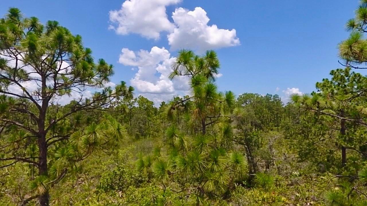 113 Bougainville Dr., Indian Lake Estates, FL 33855