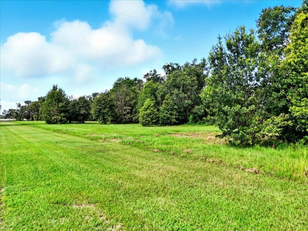 4916 W Knights Griffin Rd., Plant City, FL 33565