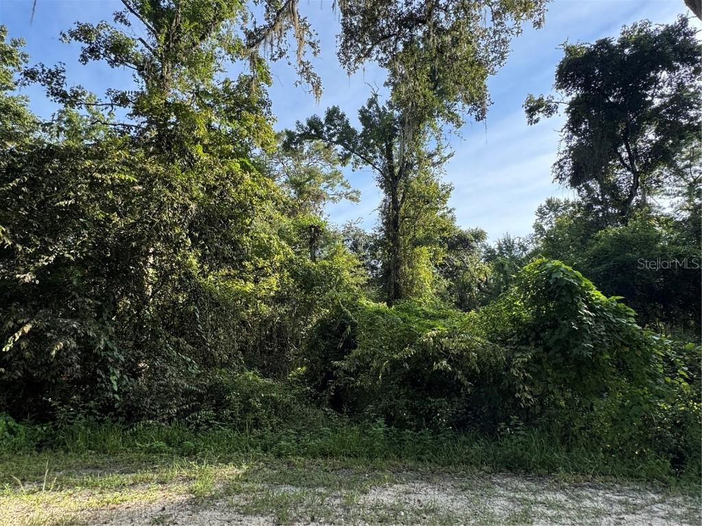 Barth Rd., Dade City, FL 33523