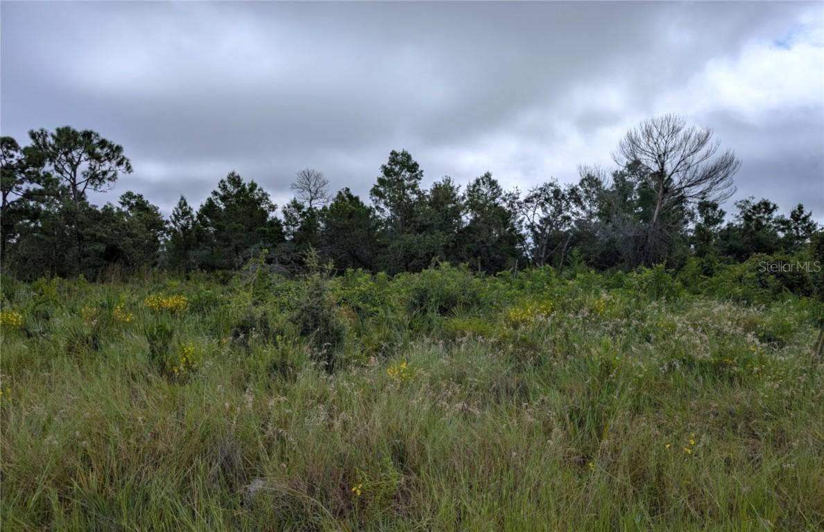 109 Falcon Ct., Lake Placid, FL 33852