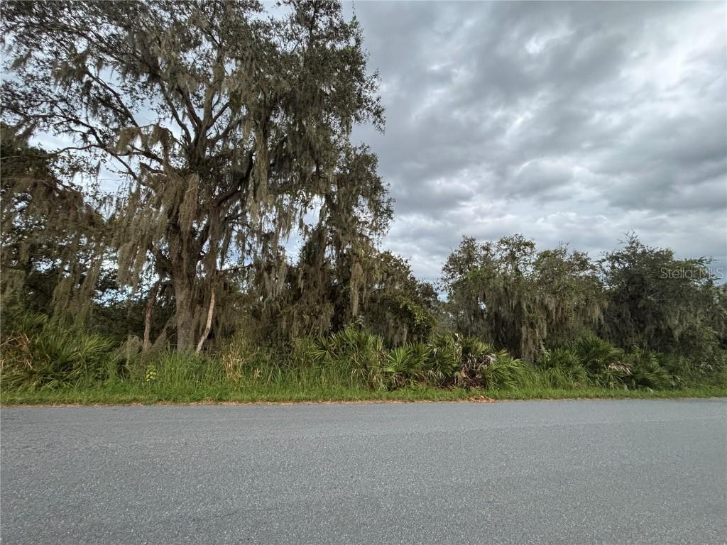 Gabriel Rd., Fort Meade, FL 33841