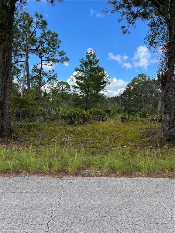 549 Vanguard Ave., Lake Placid, FL 33852