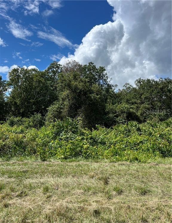 1130 S Gabriel Rd., Avon Park, FL 33825