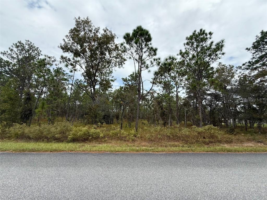 Nw Amberjack Ave., Dunnellon, FL 34431
