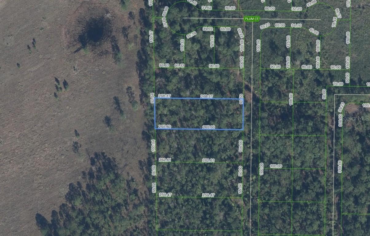 4705 Rhubarb St., Sebring, FL 33875