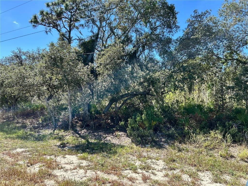 Woodstork Way, Frostproof, FL 33843