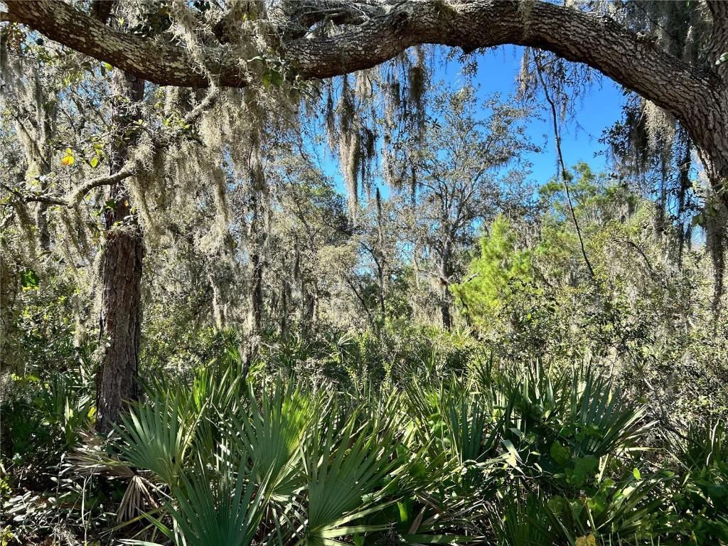 Woodstork Way, Frostproof, FL 33843