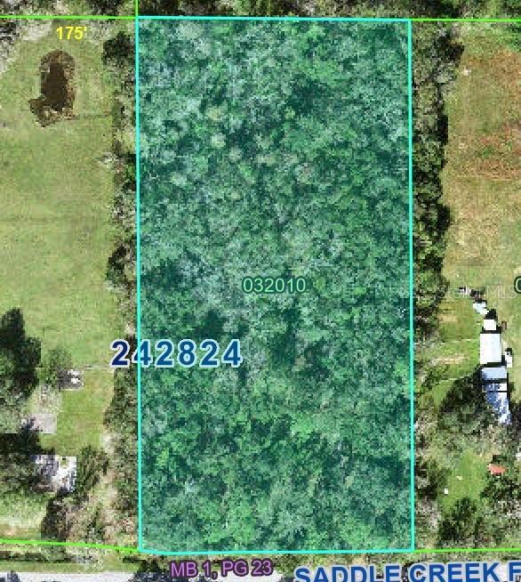 4520 E Saddle Creek Farm Rd., Lakeland, FL 33801