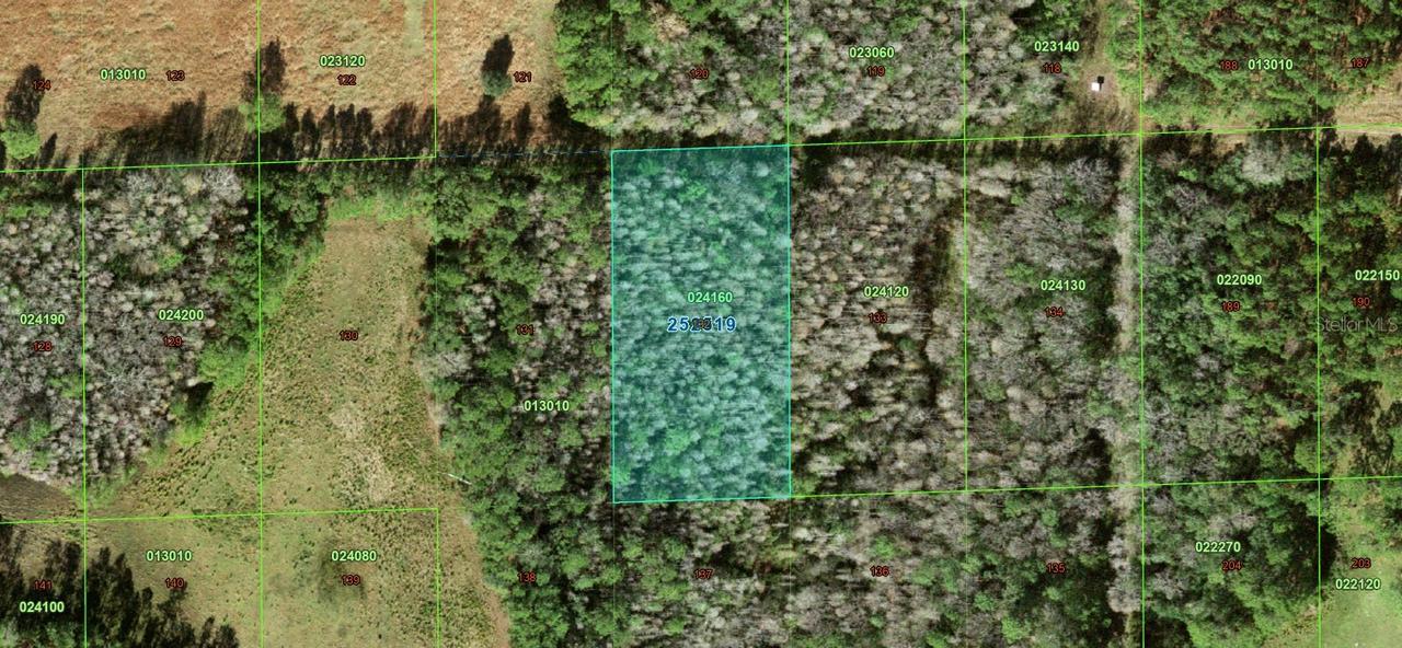 None, Polk City, FL 33868