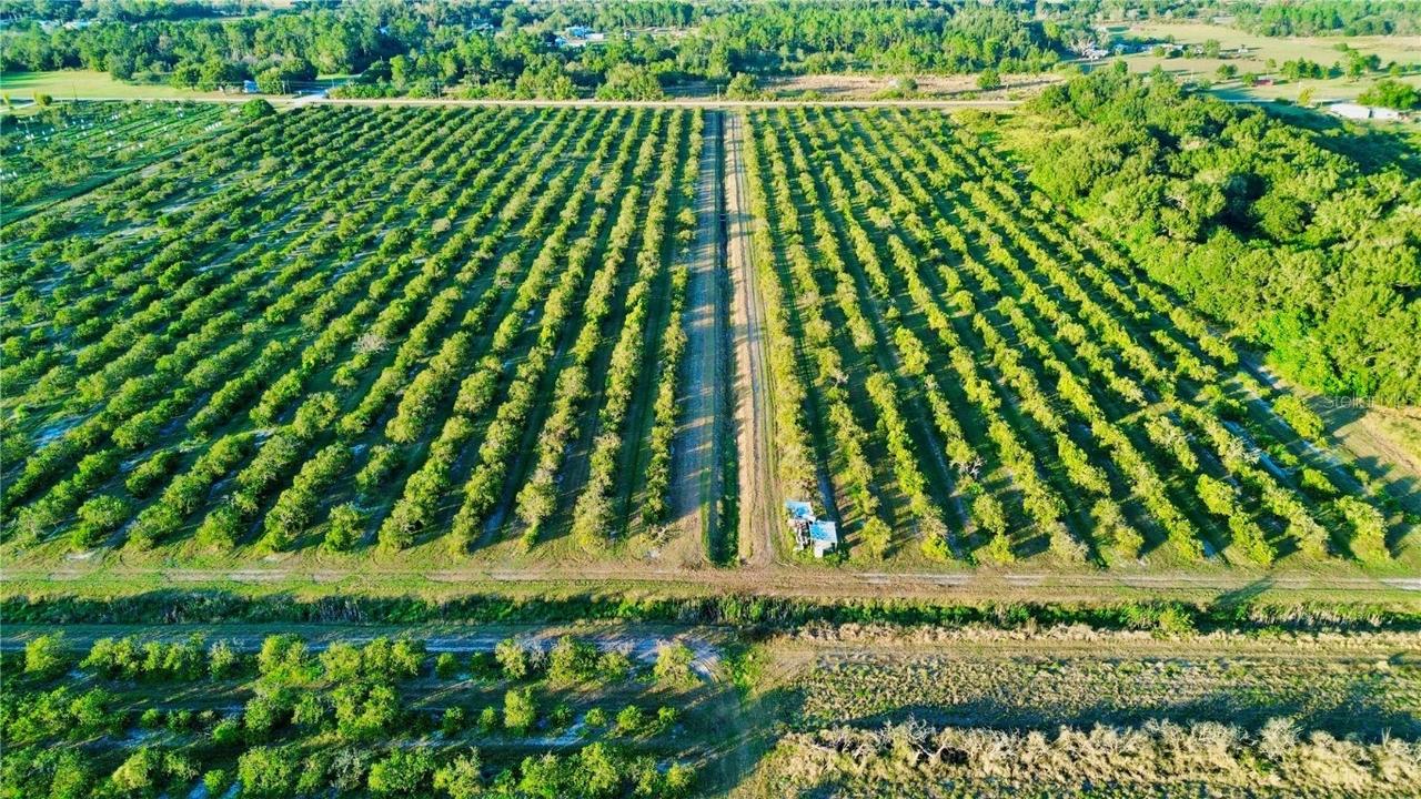 2233 Hicks Rd., Lorida, FL 33857