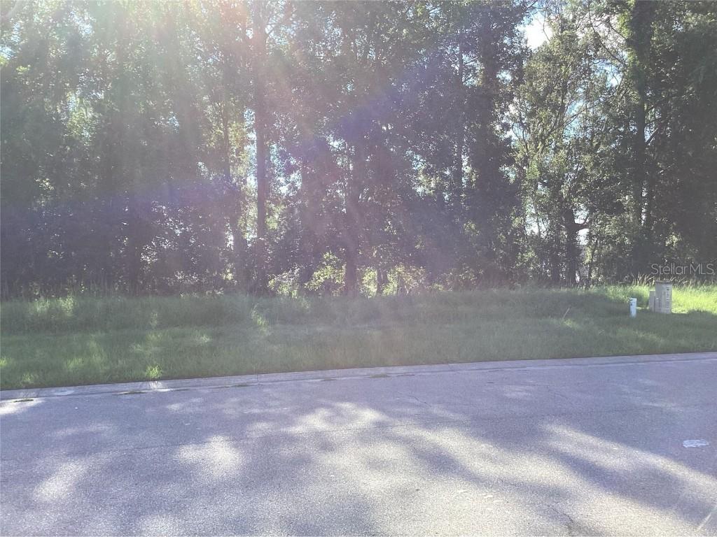 4589 Majestic Hills Loop, Brooksville, FL 34601