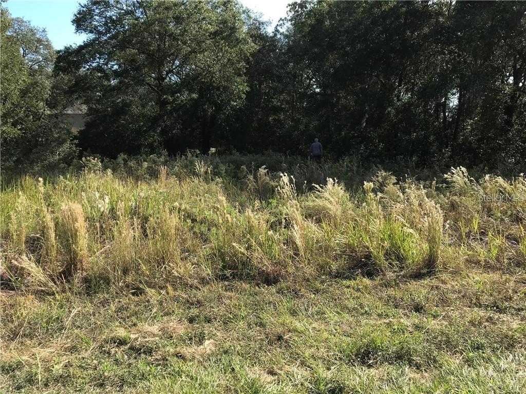 SW Sw 141st Ct Ct., Ocala, FL 34481