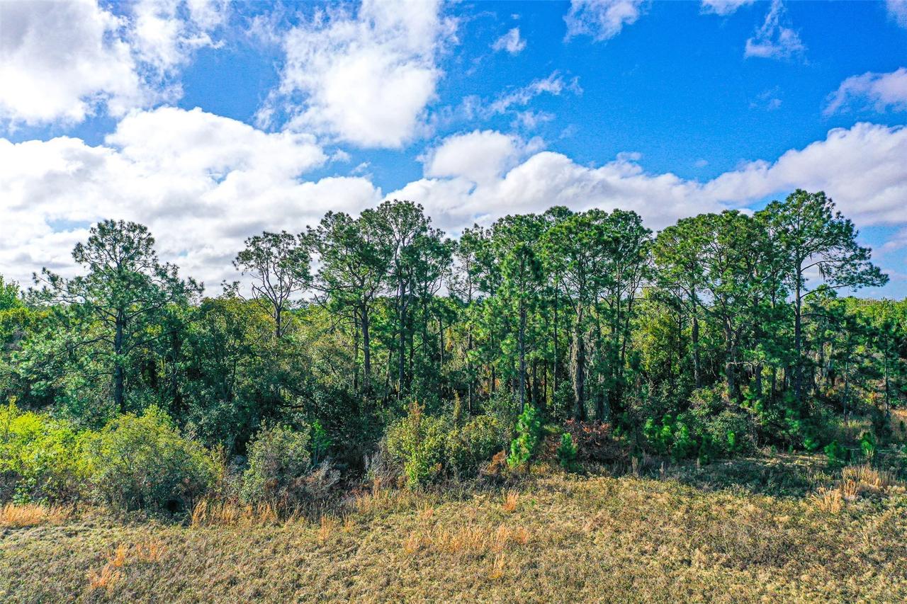 [Address Unavailable], Winter Haven, FL 33880