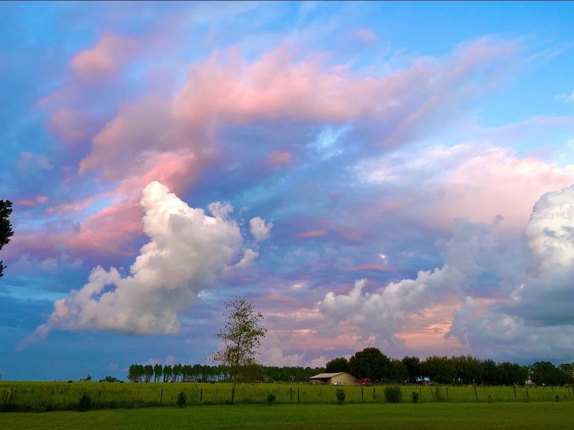 15300 Lake Iola Rd., Dade City, FL 33523