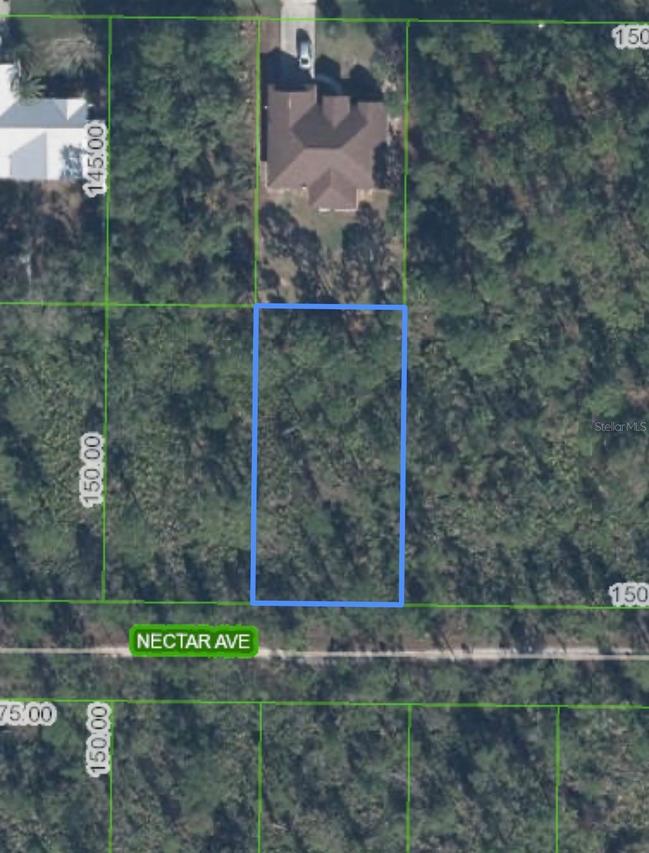 1702 Nectar Ave., Sebring, FL 33875